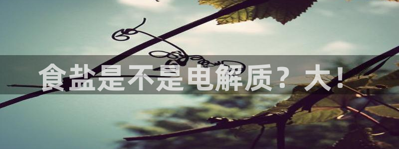 威九国际ppt官网