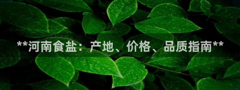 威九国际APP