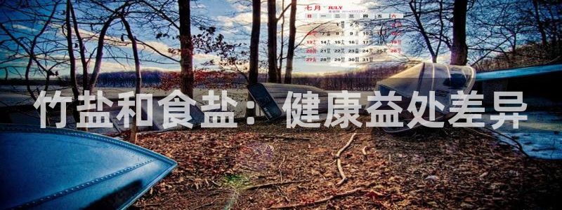 威九国际免费网络站