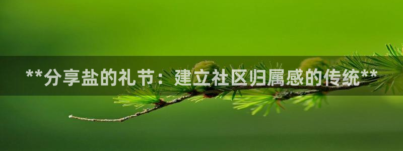 威九国际78m小说