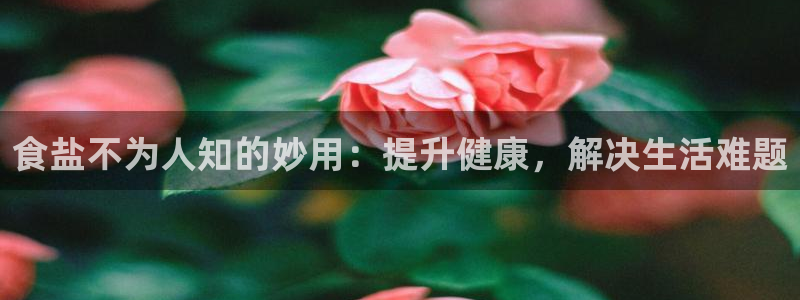 威九国际官网登录入口