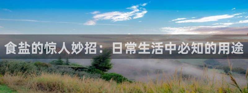 威九国际网站入口rdquo