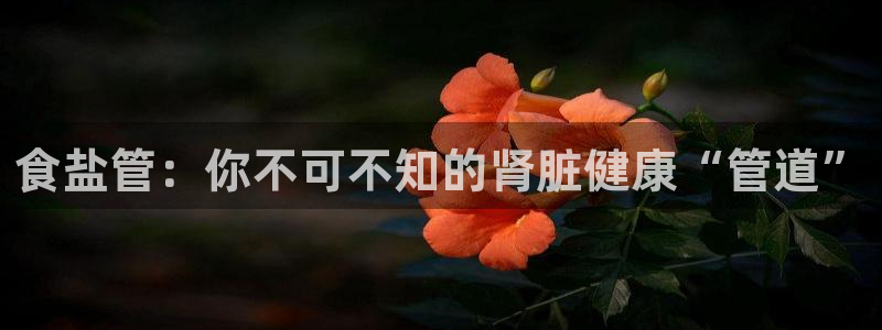 78mapp威九国际一