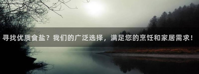 威九国际X8