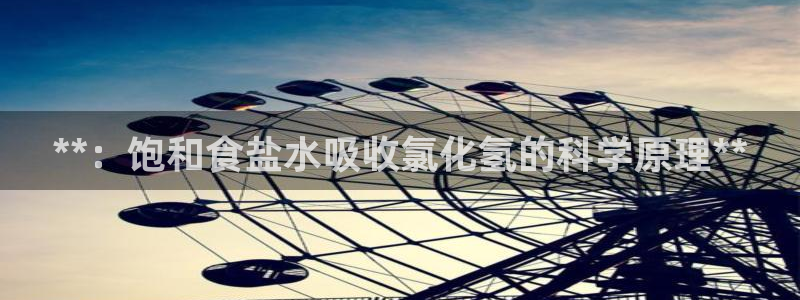 威九国际软件