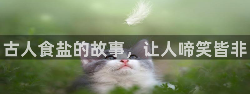 威九国际游戏app网址