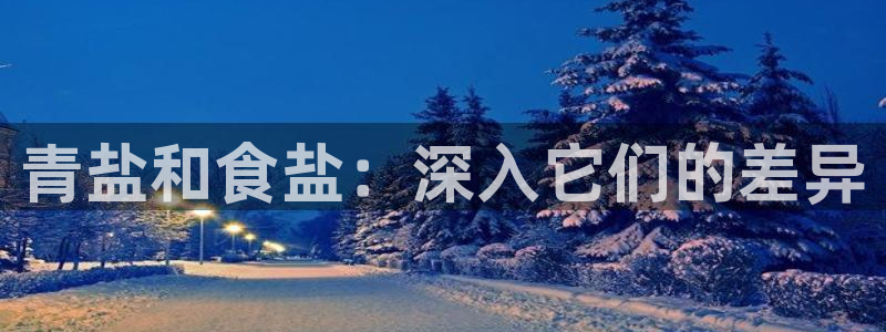 威九国际ppt免费下载网址