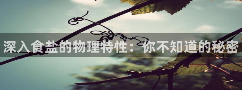 66m威九国际成长模式