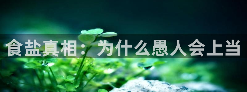 威九国际app大全下载安装