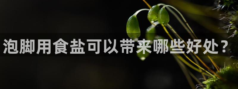 威九国际网站进入(中国)有限公司-官网
