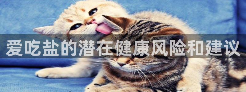 78mapp威九国际免费官方版下载