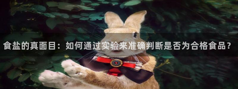 威九国际可以赚到钱
