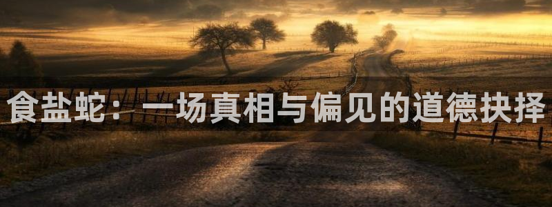 威九国际的金融服务