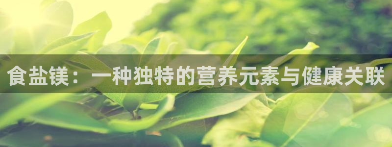 威九国际网站链接怎么打开