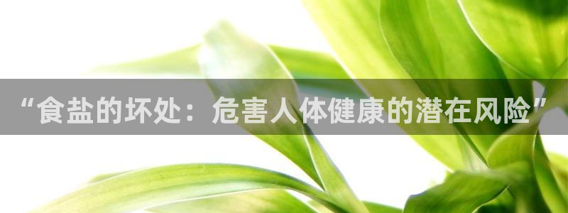 威九国际的演员