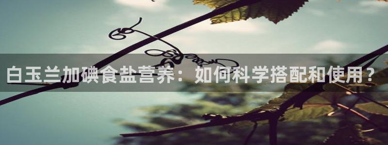 保定威九网络科技有限公司怎么样
