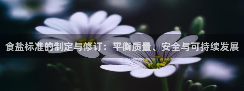 威九国际v96bet官网版