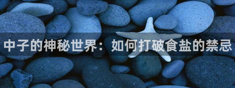 威九国际网站入口官网首页下载