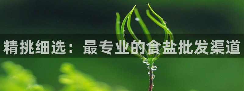威九国际app哪个地方