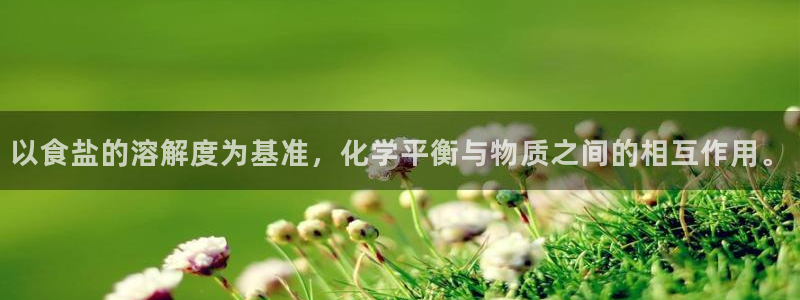 威九国际网页看视频弹窗的广告拦截插件