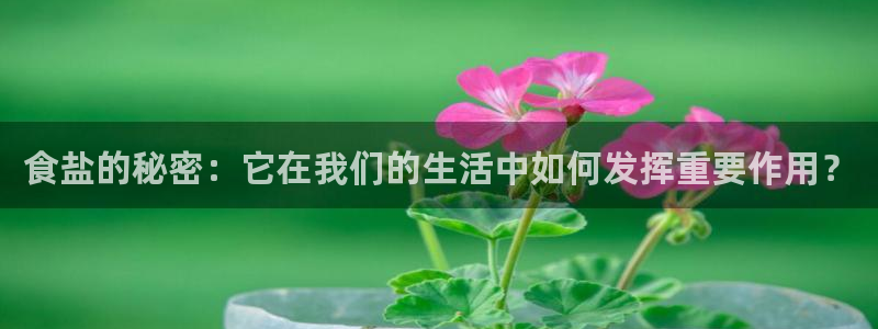 威九国际78mb下