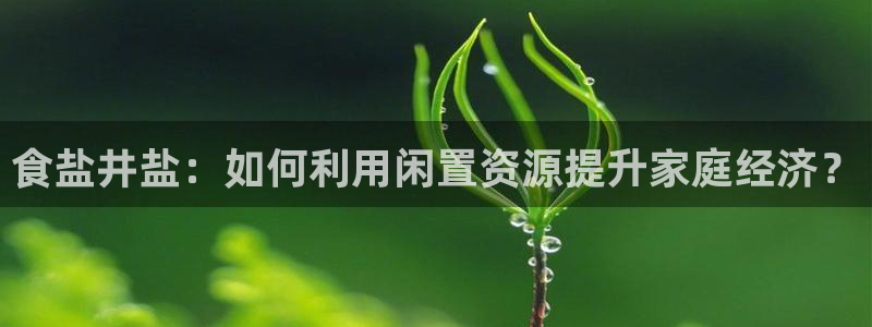 威九国际v96bet官网版