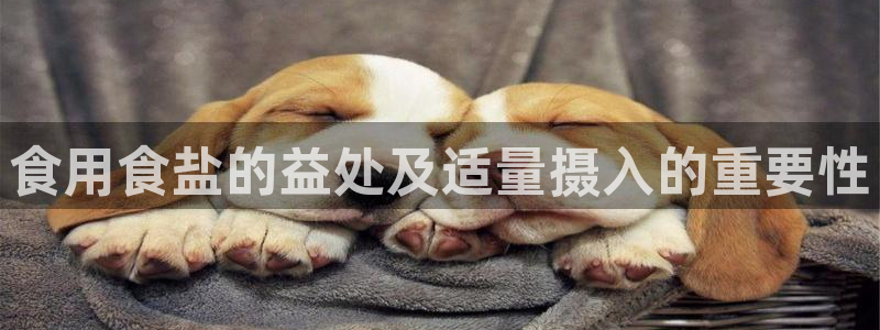 威九国际理论片最经典十首歌曲
