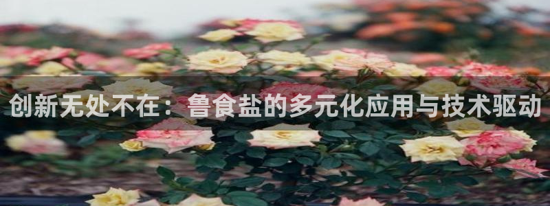威九国际网站进入产品分类