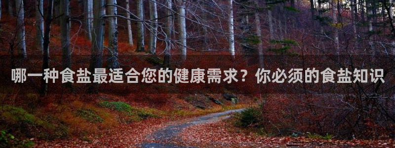 威九国际的金融服务怎么样