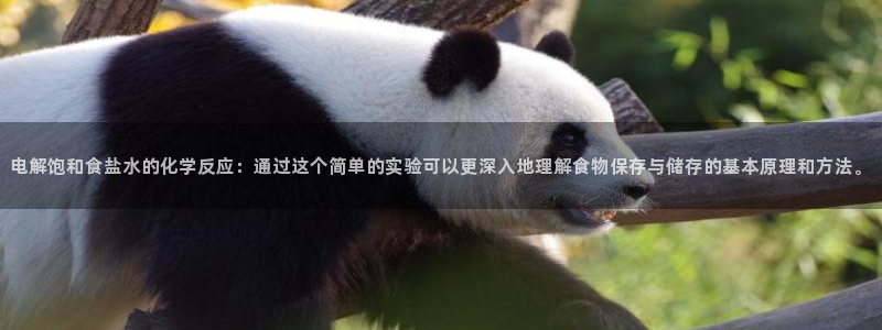 威九国际APP下载
