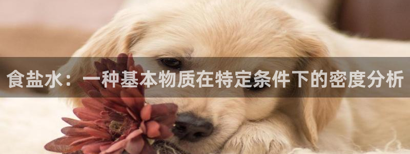 威九国际的女主