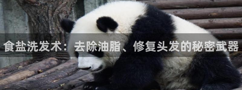 威九国际网站入口官网首页登录