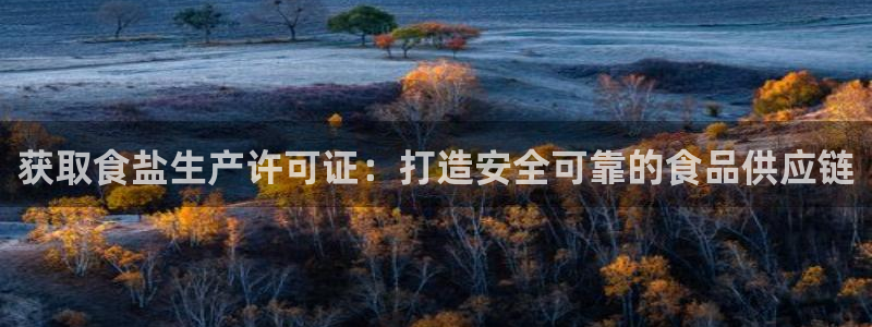 威九国际官网登录入口网址