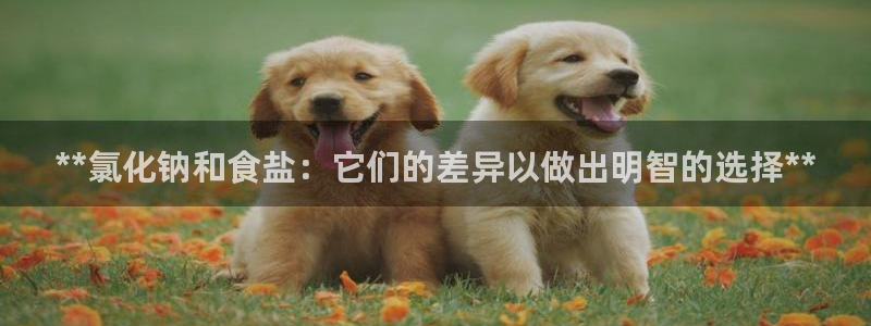 威九国际官网登录入口网址