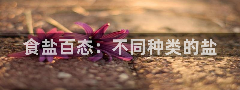 威九国际66m66m电影