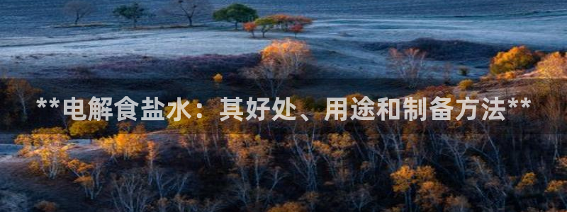 威九国际ppt官网