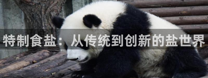 威九国际电子有限公司