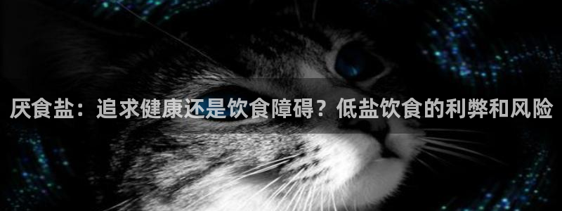 威九国际宣传片