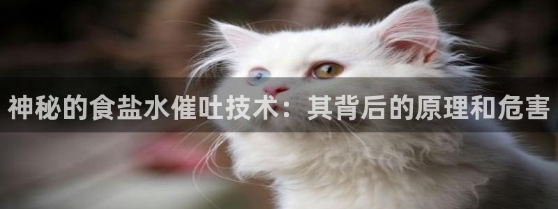 威九国际网站登录