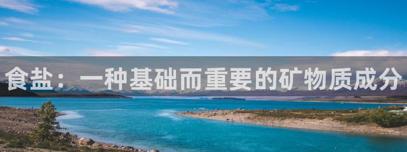 威九国际女演员名单介绍