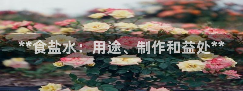 78mapp威九国际网