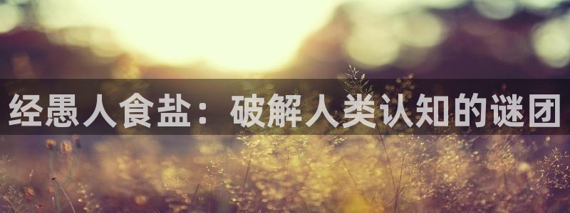 威九国际的金融服务