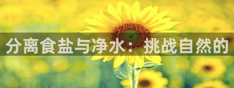 78mapp威九国际网页版