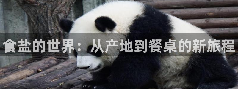 威九国际网站入口官网免费