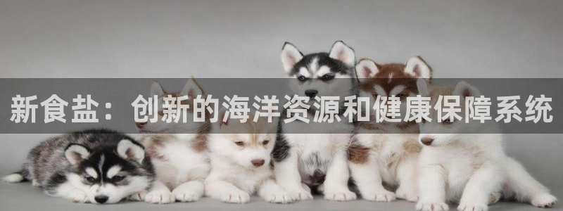 威九国际合作伙伴有哪些