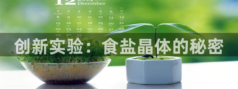 威九国际犯法吗